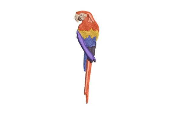 Vibrant Red Parrot Embroidery Review